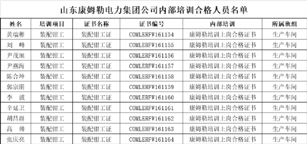 山東叼嘿视频影院電力集團公司內部培訓合格人員名單