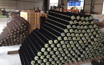 毛(máo)刷輥概述 毛刷輥概述